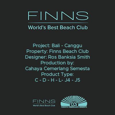 Finns Briefing Section